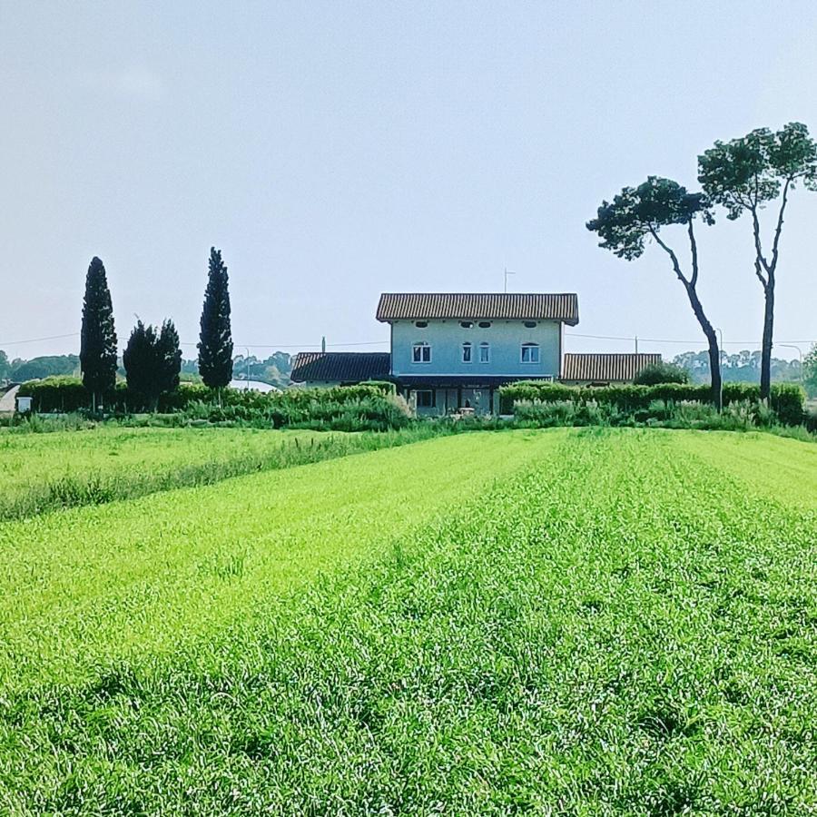 La Ricarda Dimora Di Campagna Panzió Paestum Kültér fotó