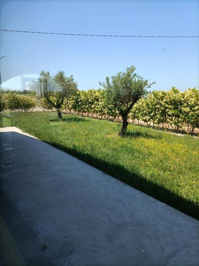 La Ricarda Dimora Di Campagna Panzió Paestum Kültér fotó