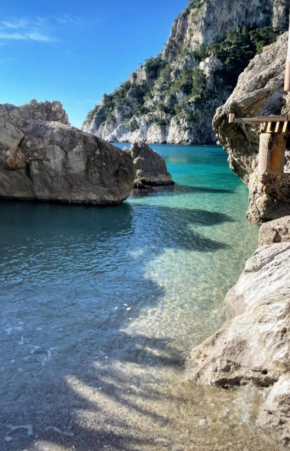 La Ricarda Dimora Di Campagna Panzió Paestum Kültér fotó