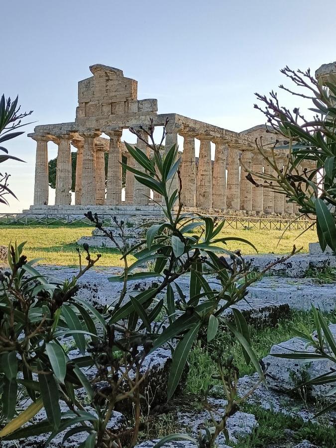 La Ricarda Dimora Di Campagna Panzió Paestum Kültér fotó